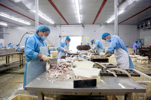 走向我們的小康生活 弘玖水產一條龍服務，黑魚游出致富路